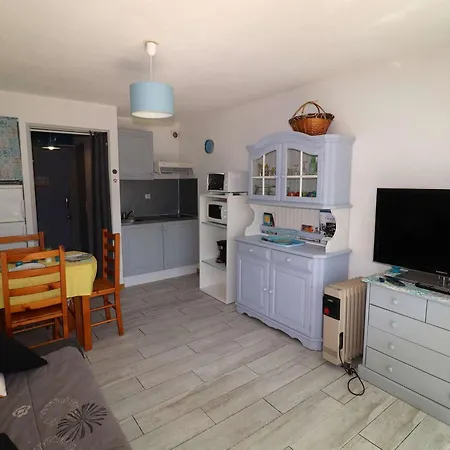 Cabine, Terrasse Au Grau-du-roi, Proche Et Commerces - Fr-1-307-96 Le Grau-du-Roi